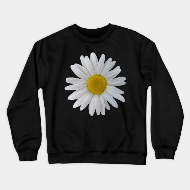 wonderful daisy flower, blooming daisy, blooms Crewneck Sweatshirt by rh_naturestyles